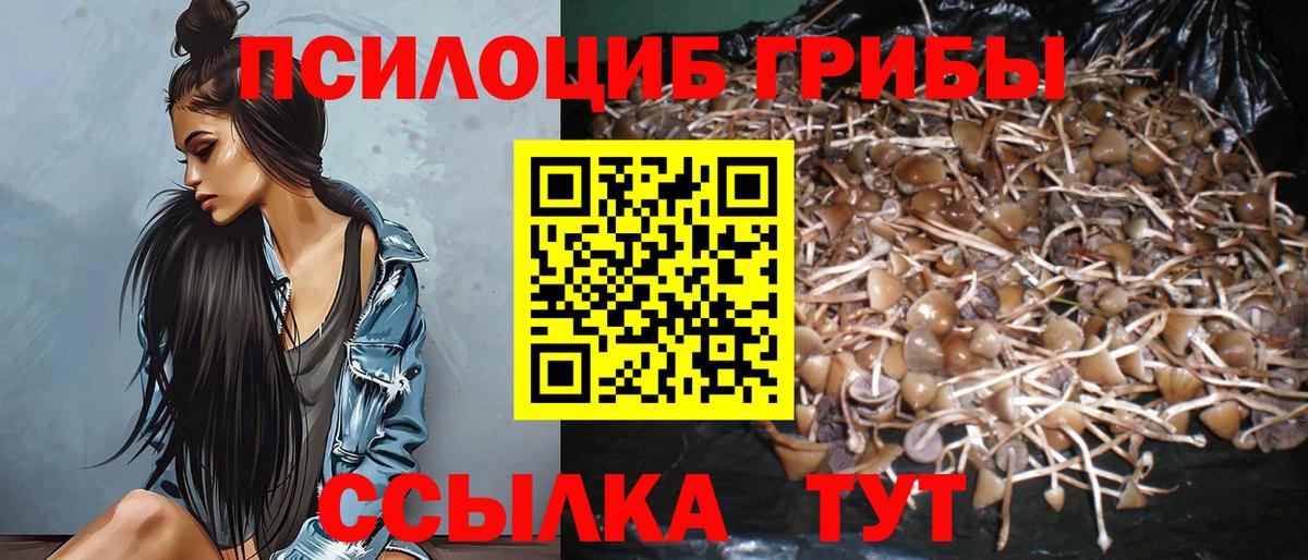 Псилоцибиновые грибы Ишимбай