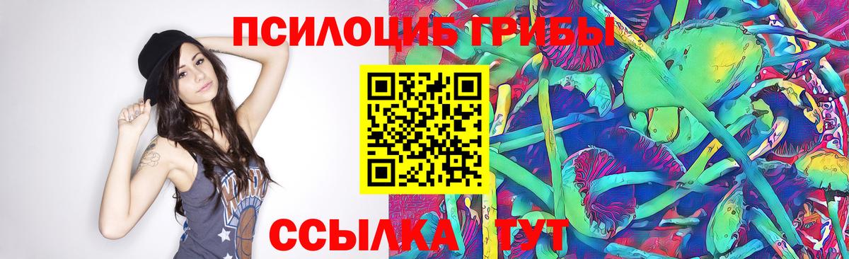 где купить наркоту  Псилоцибиновые грибы мухоморы  Вход с VPN  Псилоцибиновые грибы прущие грибы  Ишимбай 